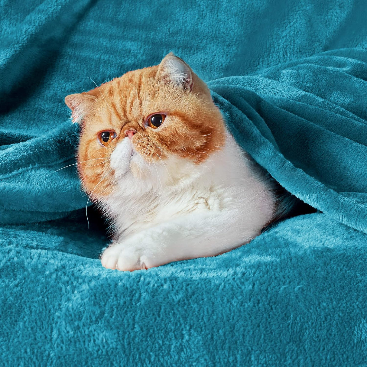 Manta Fleece Bedsure 300GSM Suave y Ligera para Sofá