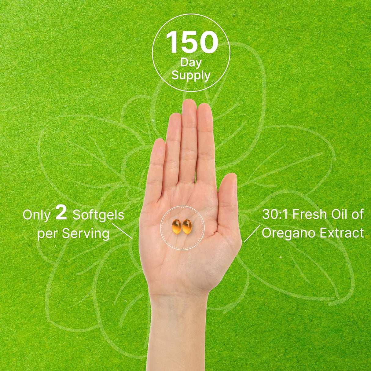 Suplemento de aceite de orégano de semilla negra 300 Cáp