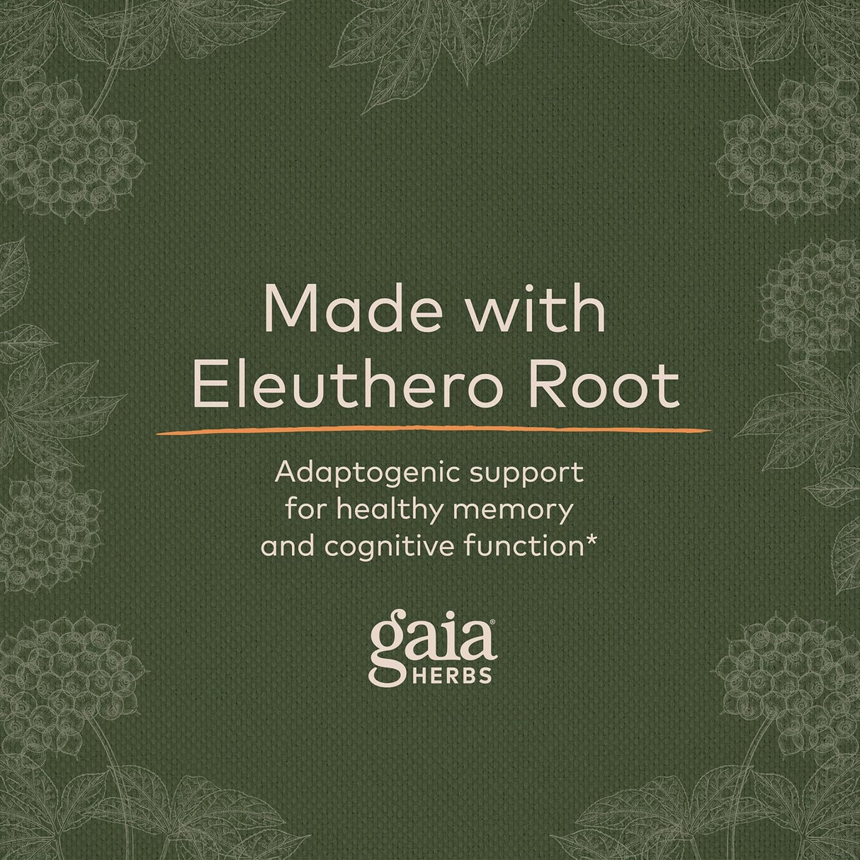 Suplemento Mental - Apoyo para la Memoria y Enfoque