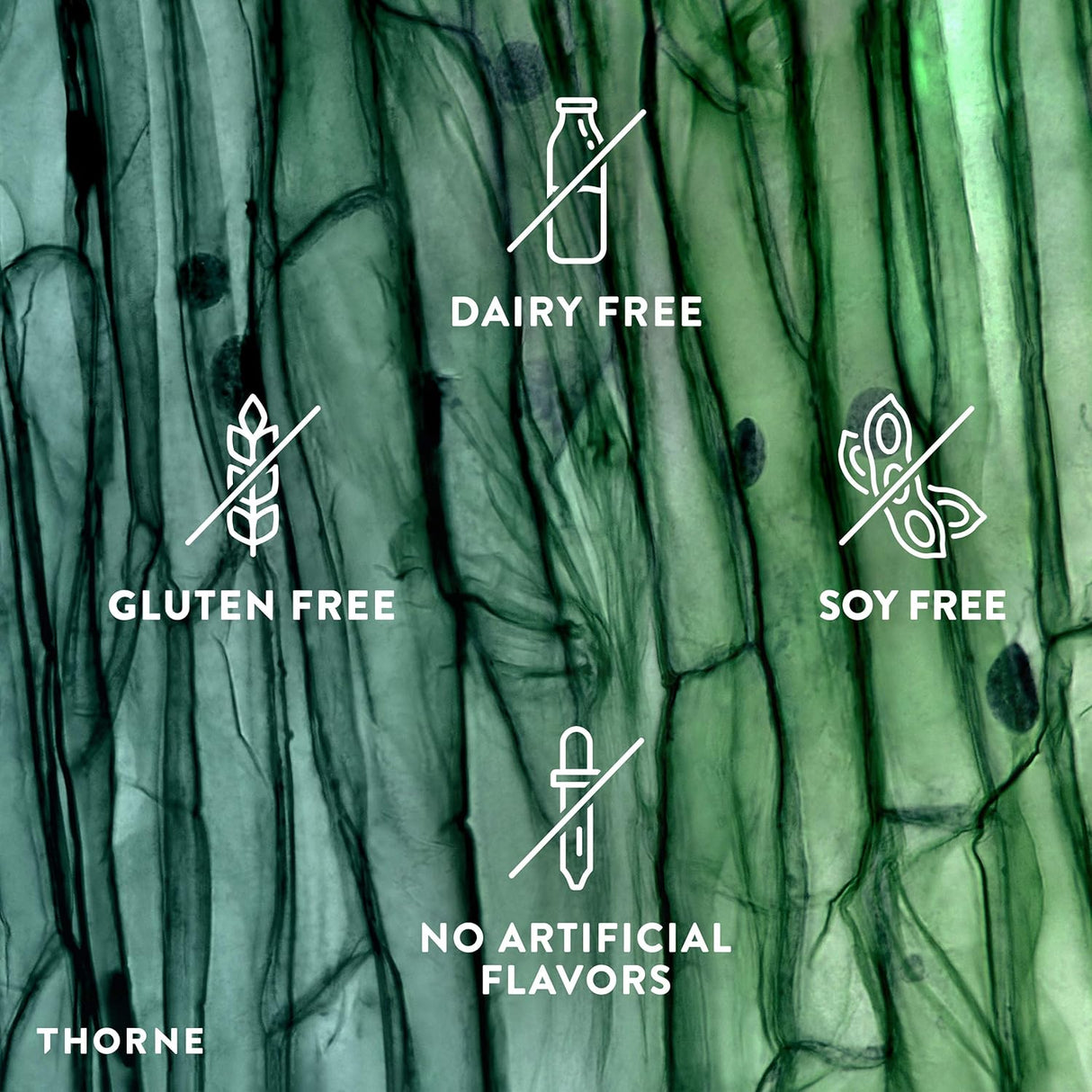 Suplementos Acetyl-L-Carnitina - 500 mg función cerebral