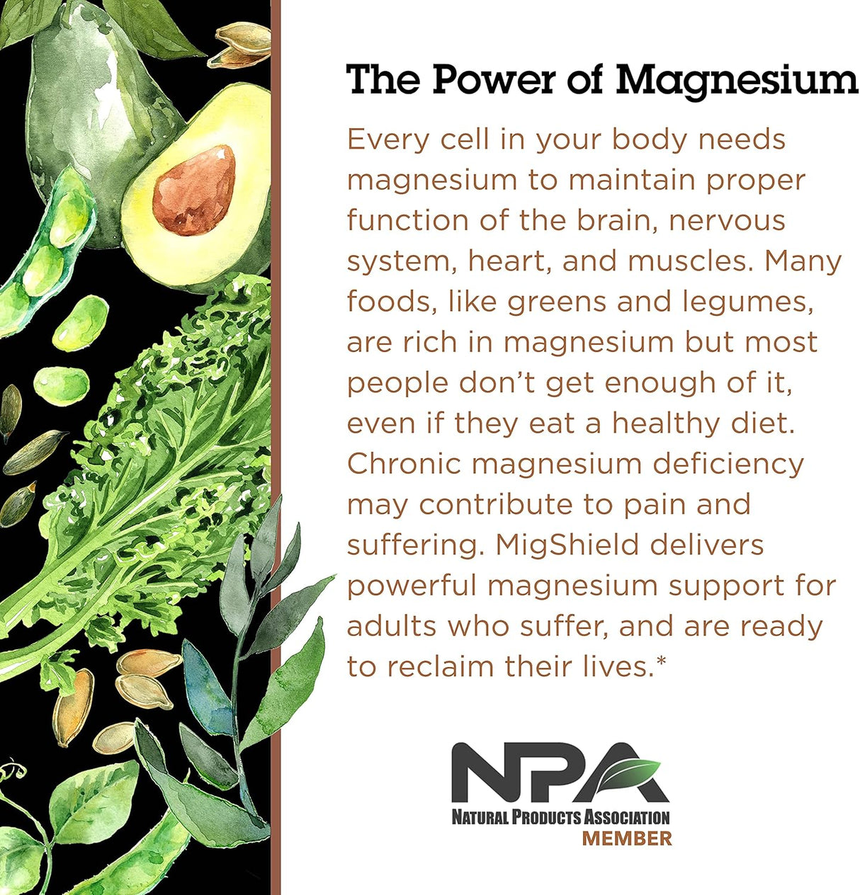 Suplementos de magnesio con riboflavina y CoQ10 60 tabletas