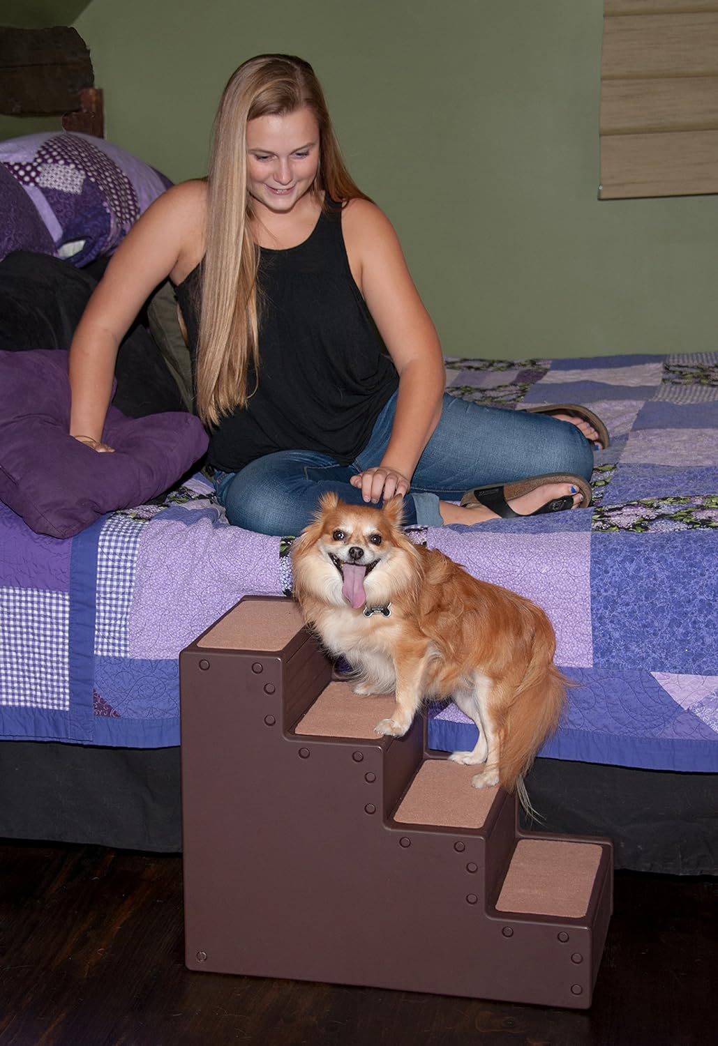 Escalera IV para perros de hasta 50 libras AM9640CH Pet Gear