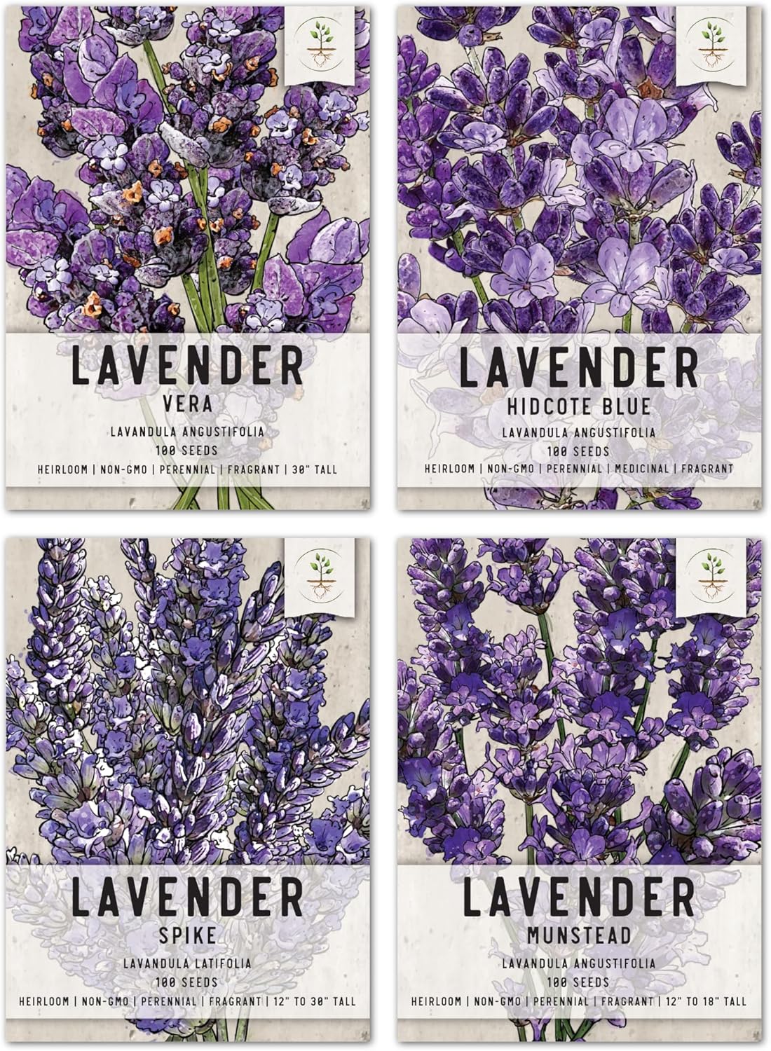 Colección de Semillas de Lavanda , 4 Variedades Heirloom