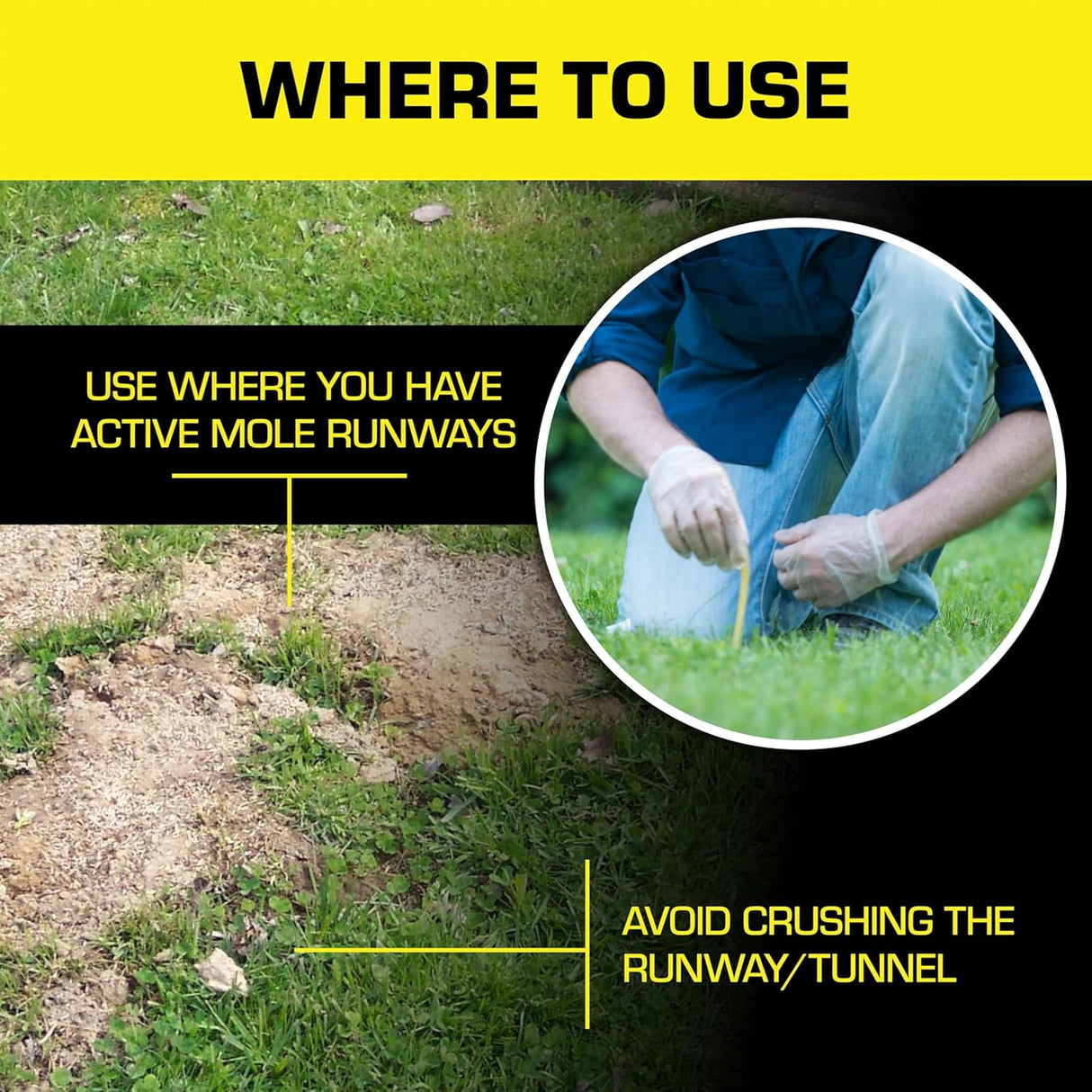 Tomcat Asesino de Topos, Imita Comida Natural, 10 Gusanos