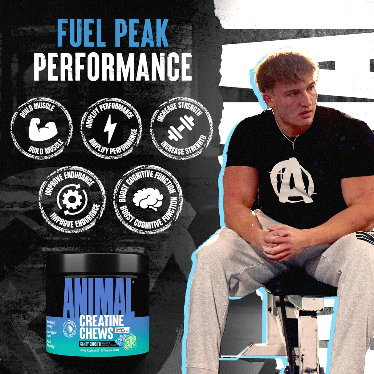 Animal Creatine Chews – Creatina Monohidrato con AstraGin y Sal, Max Absorción