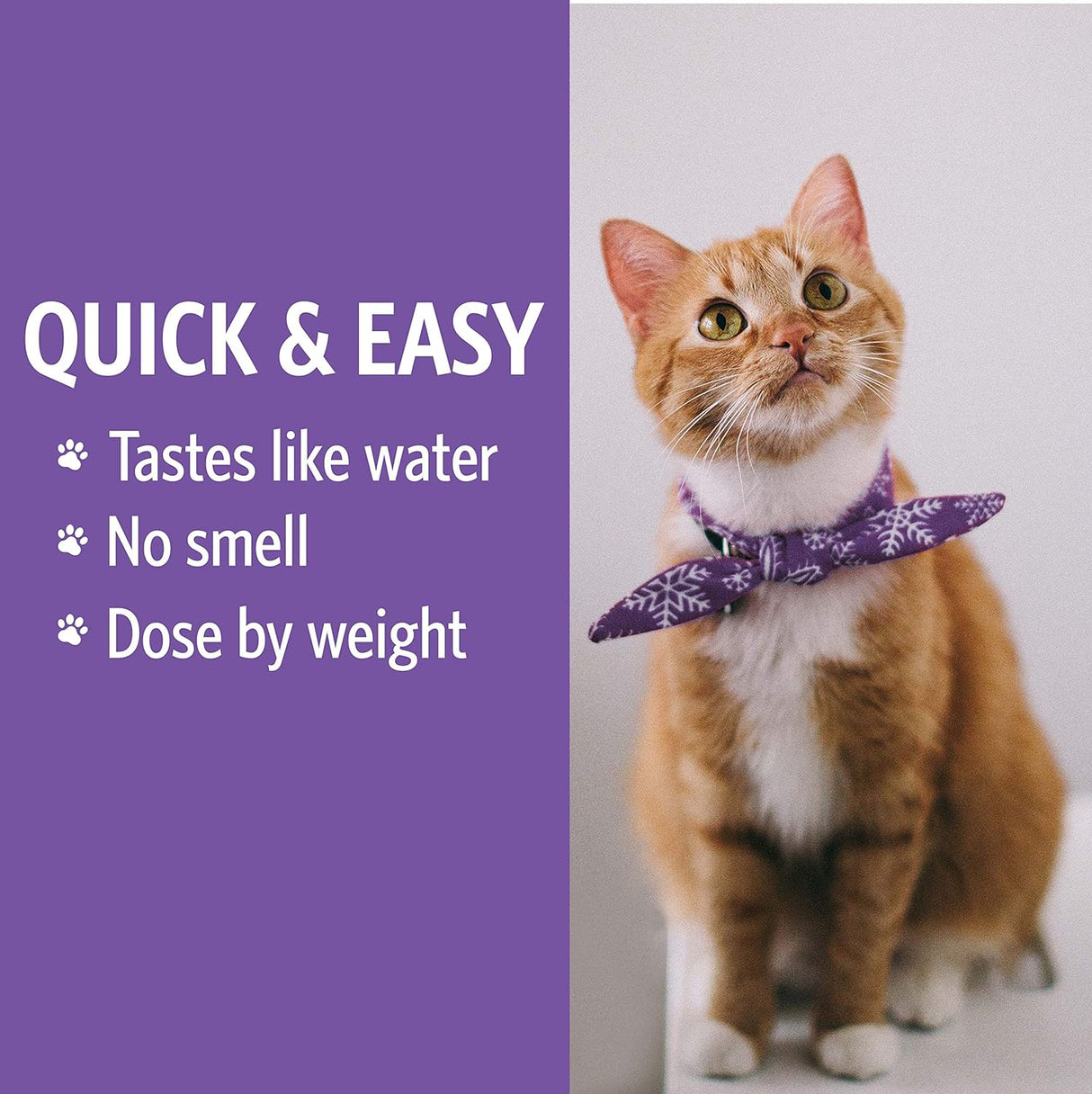 Suplementos Alimenticios Hydrosol plateado para mascotas