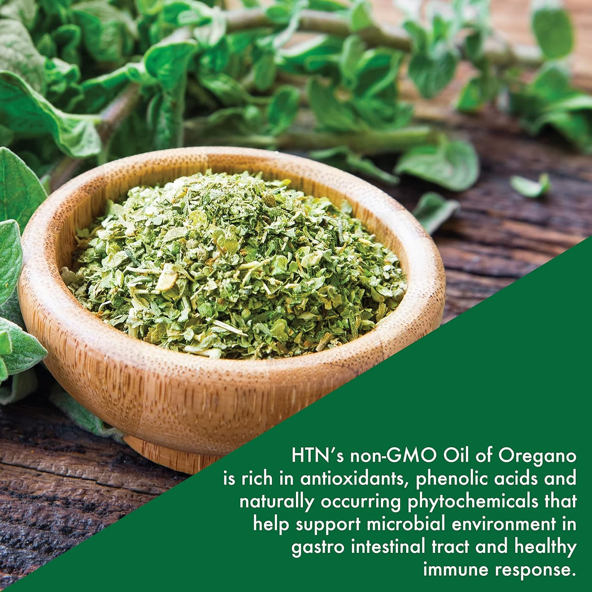 Suplemento Oil of Oregano Softgels Wild Harvested Non-GMO
