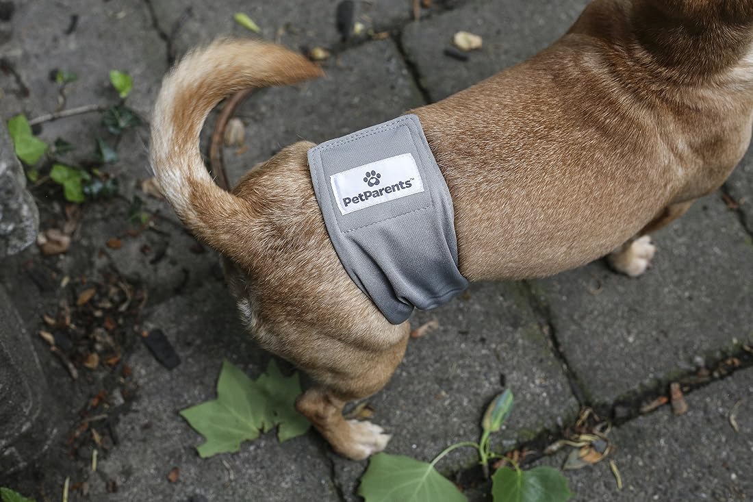 Bandas lavables para el vientre para perros
