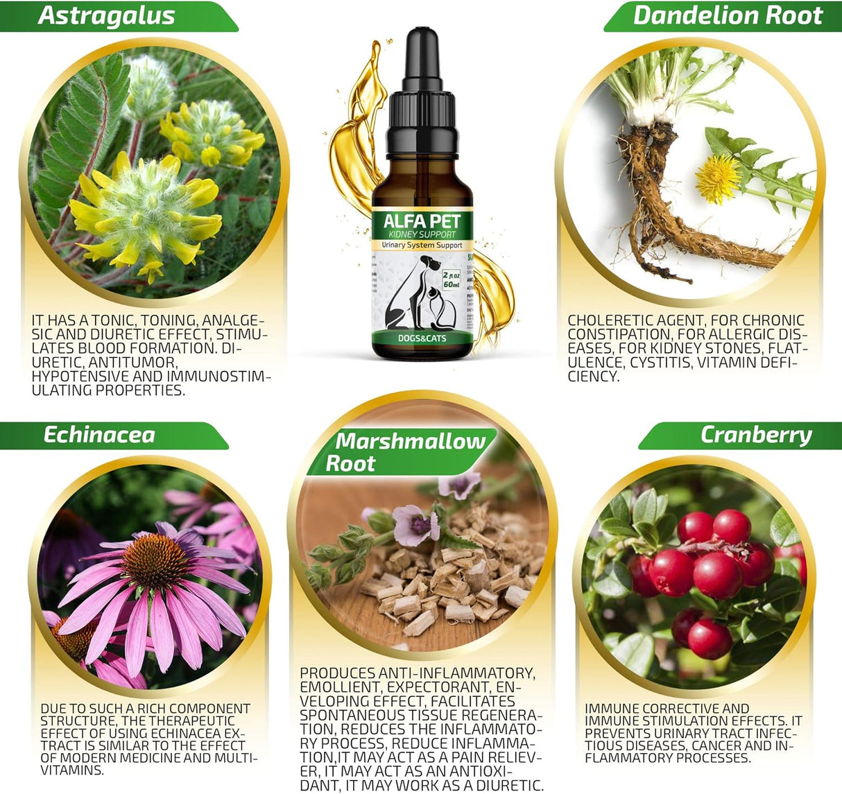 Vitaminas Cuidado del tracto urinario canino con arándano