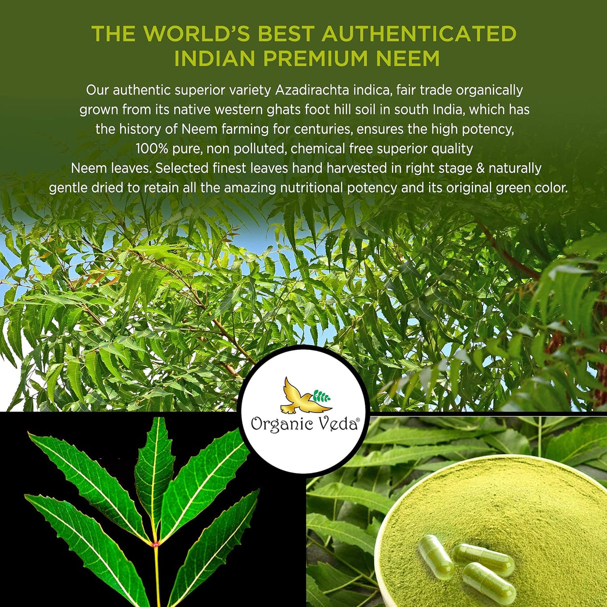 Suplemento Organic Veda de Neem sistema inmunológico 120un