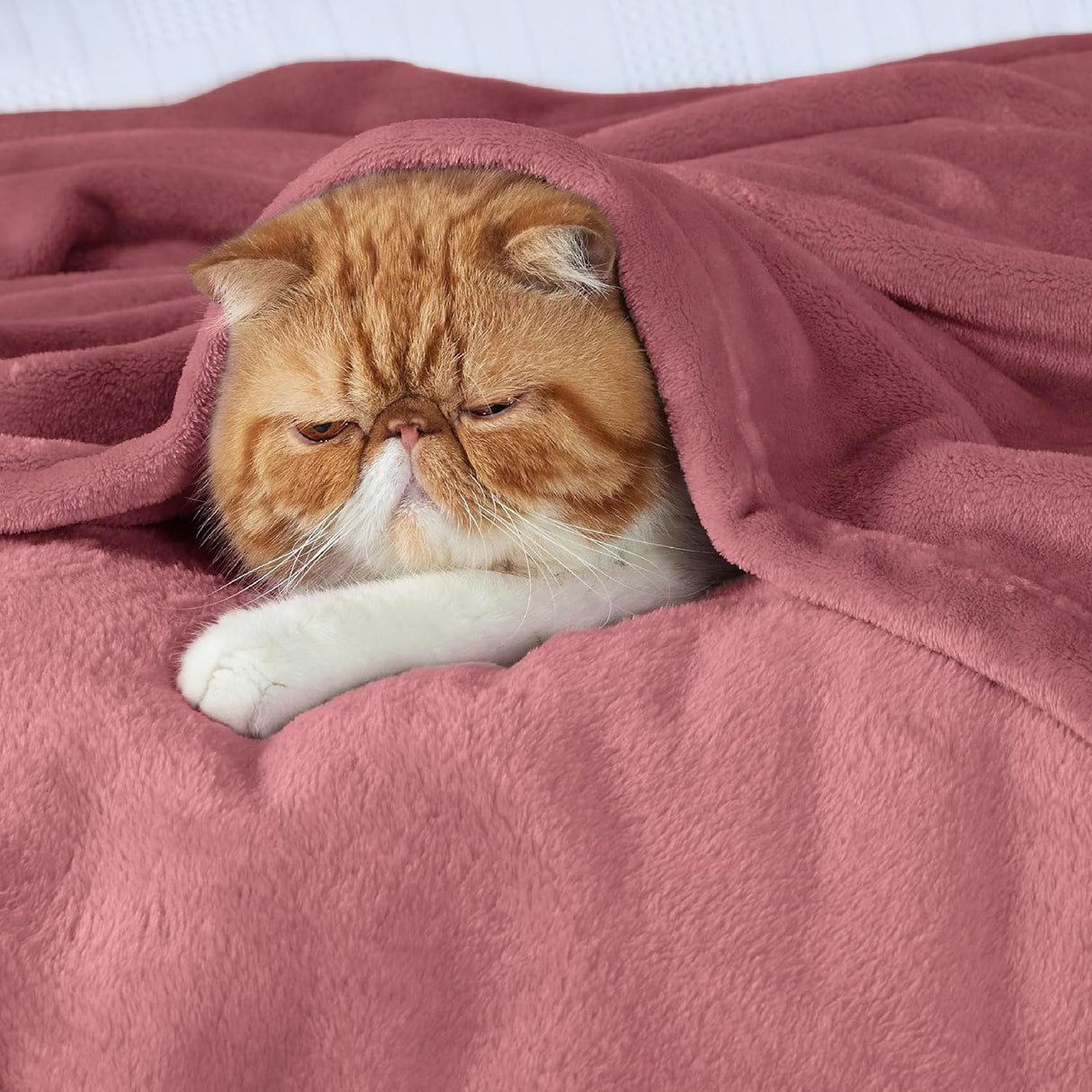 Manta de microfibra Bedsure, suave y ligera, tamaño queen 90x90