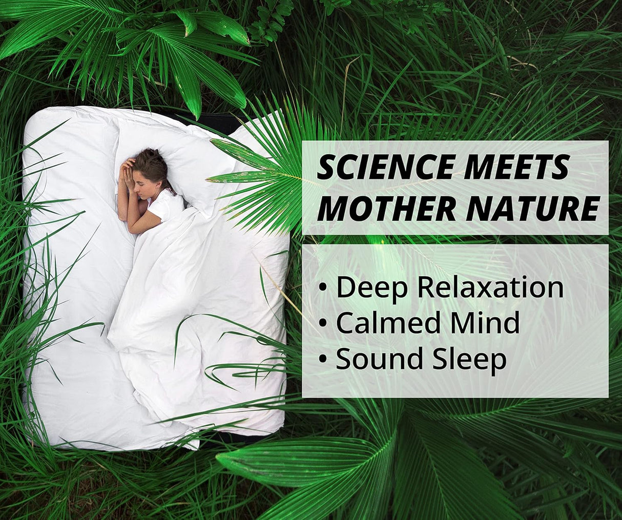 Suplemento natural para dormir Ayuda para dormir de raíz