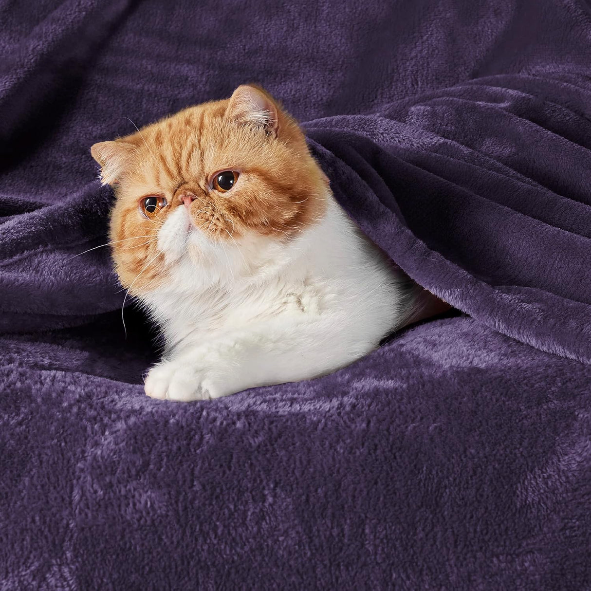 Manta de Forro Suave Bedsure 300GSM, Ideal para Sofá y Cama