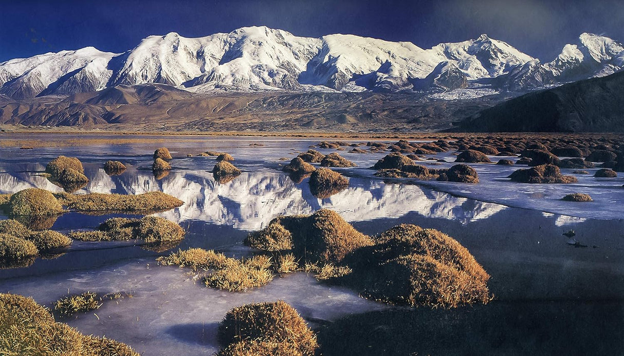 Hierbas del dragón - Goji & Schizandra Drops - 2 fl oz