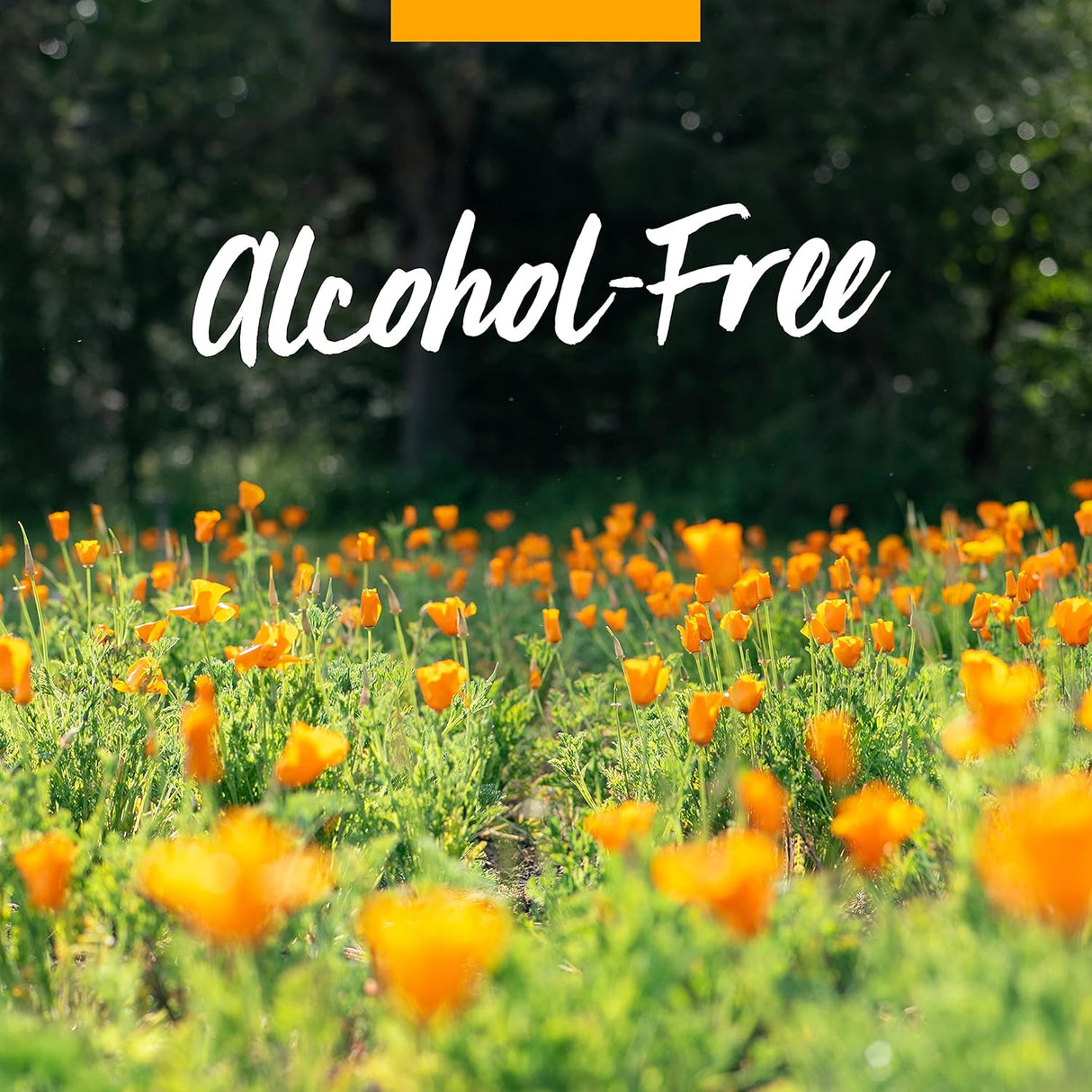 Suplemento herbaria líquida de fortificante inmune 1 onza