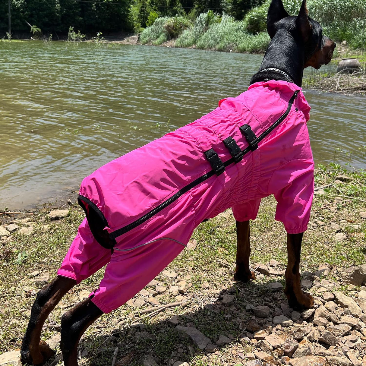 Chubasquero para perros, impermeable, reflectante, XXL