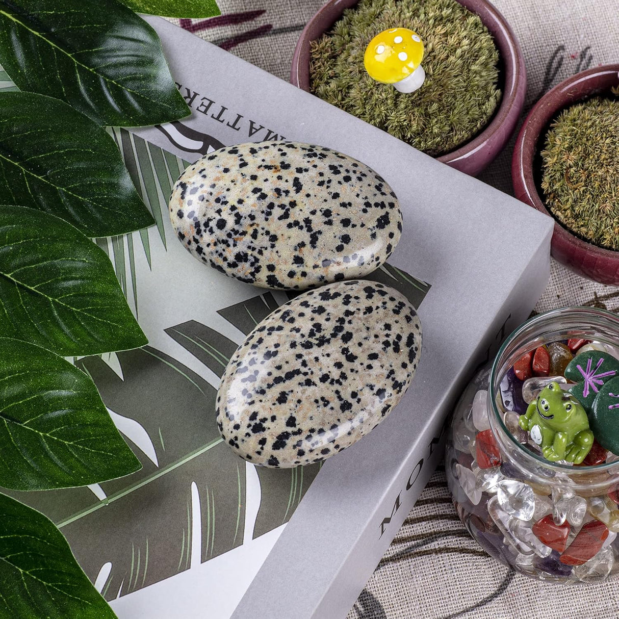 Piedra de Palma de Jaspe Dálmata - Cristal Sanador Ovalado