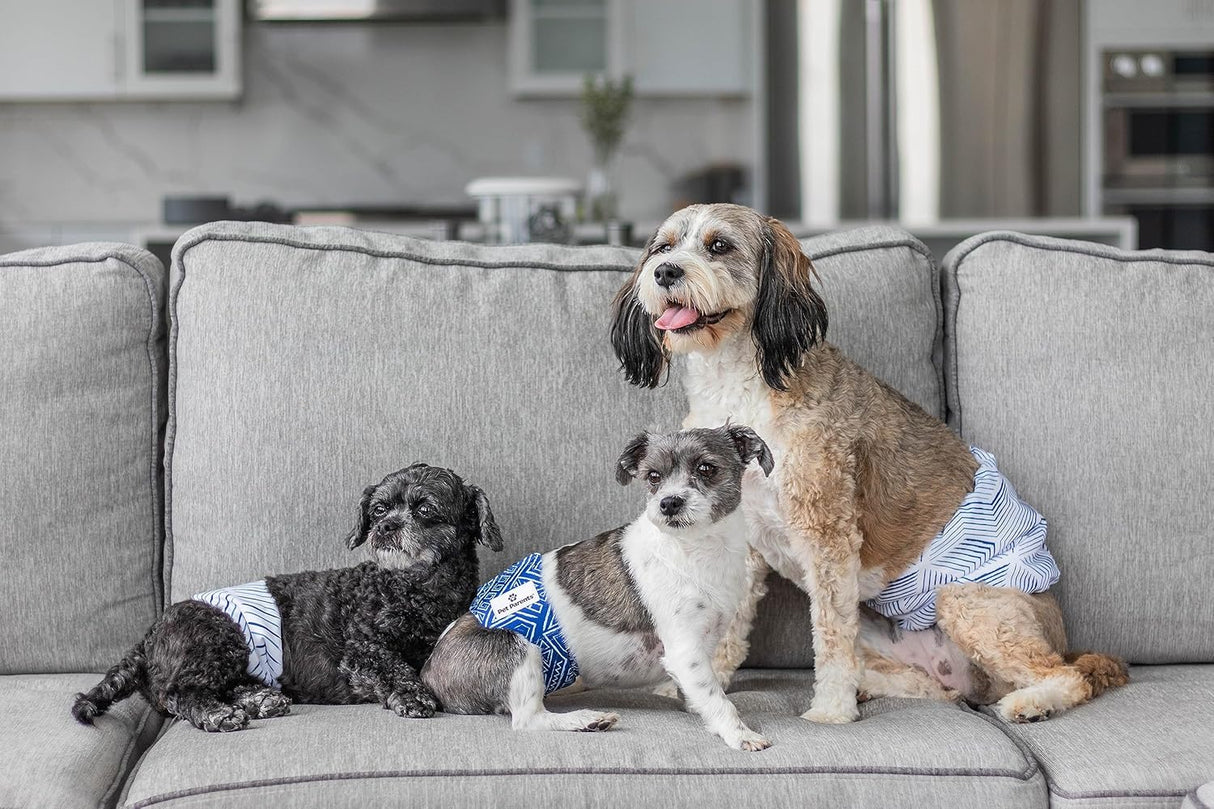 Pet Parents Bandas para vientre lavables alta calidad Kahuna