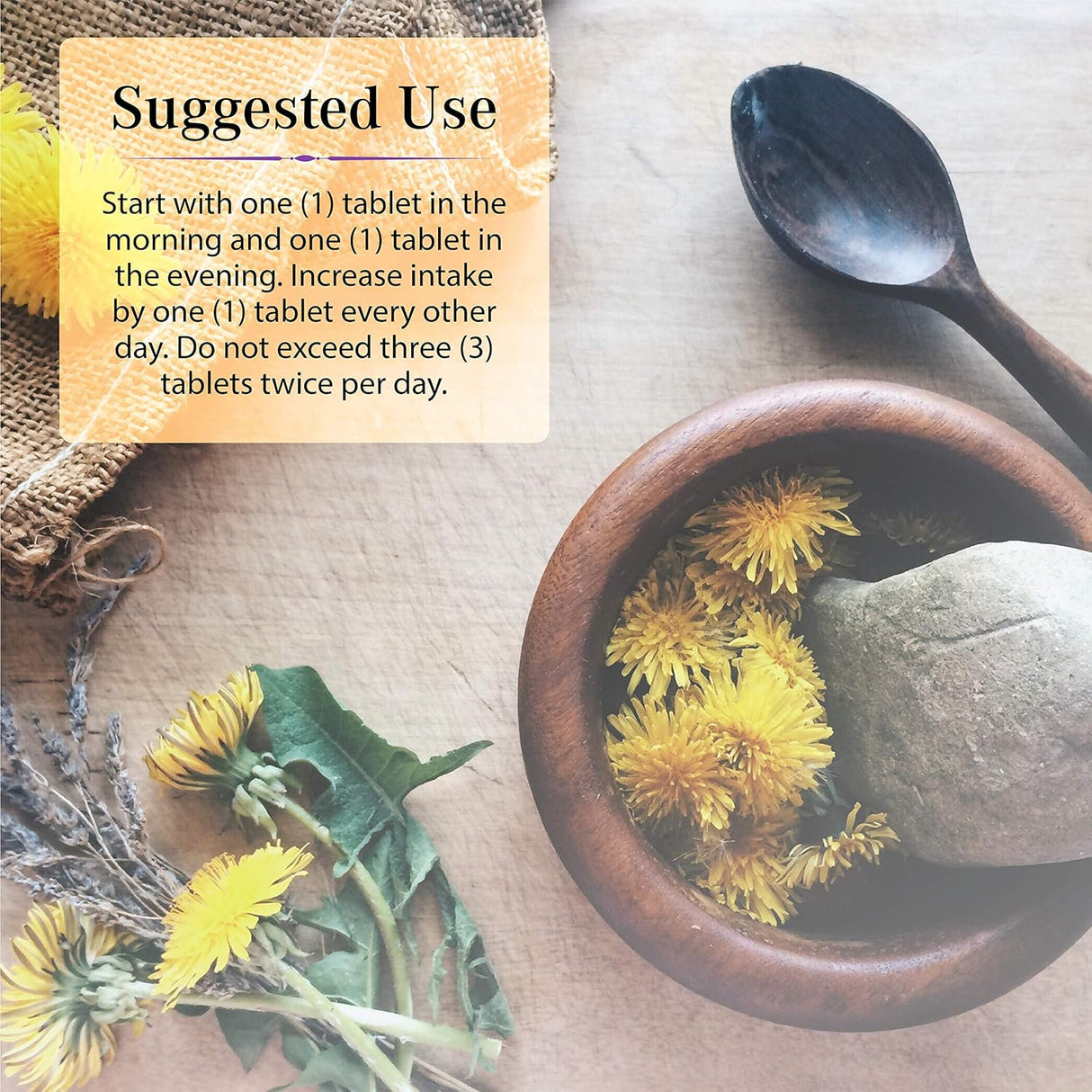 Suplementos de Apoyo para la digestión y desintoxicación