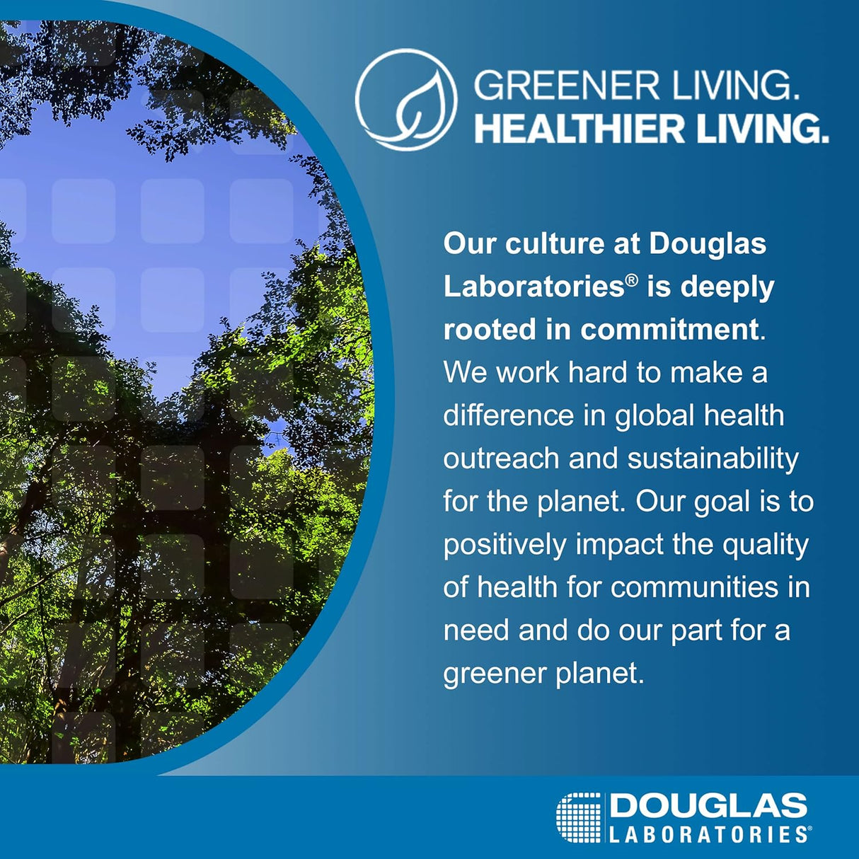 Suplemento Picolinato de zinc cápsulas 50 mg inmunológica