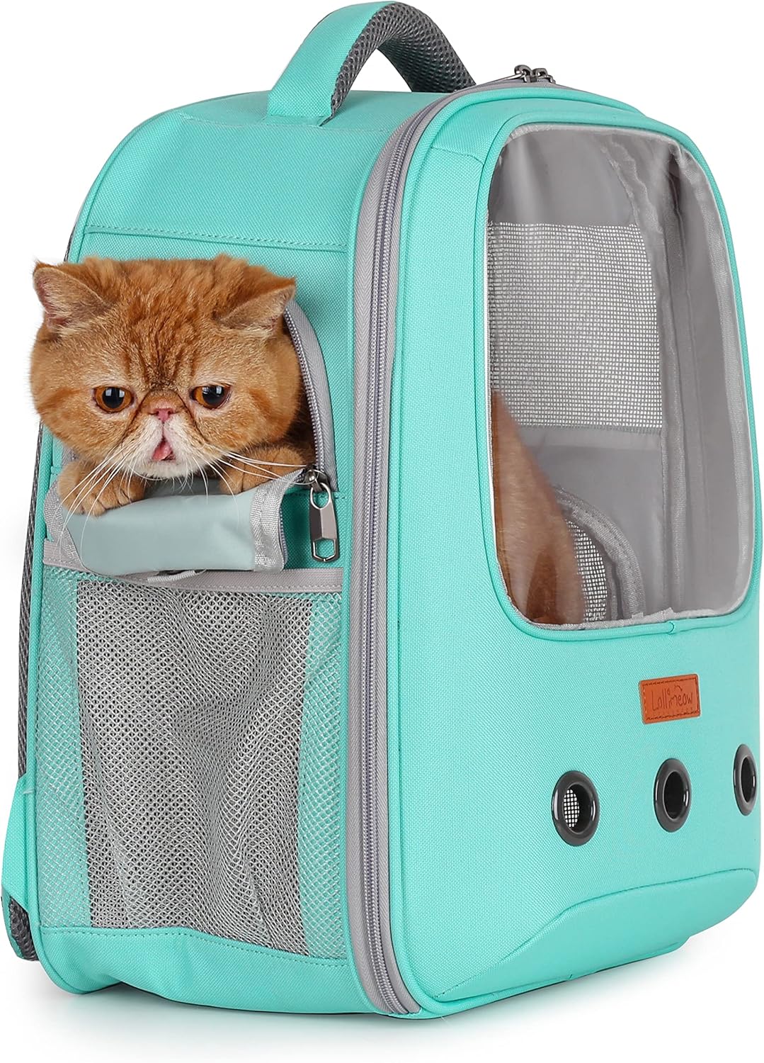 Mochila transportadora para gatos aprobada por la aerolínea
