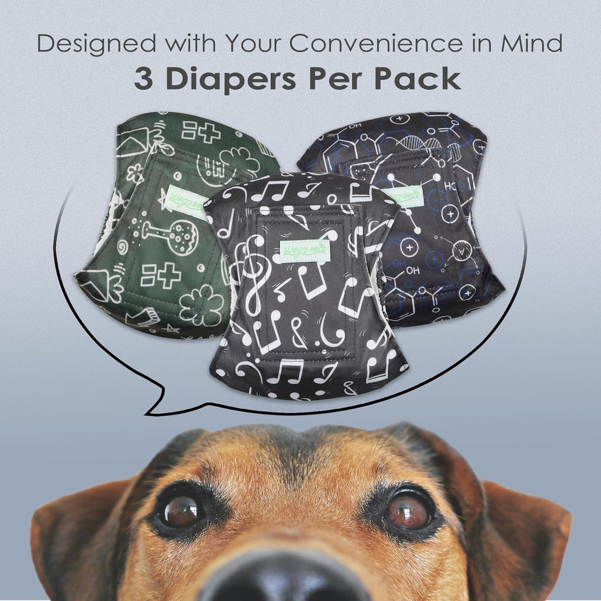 wegreeco Pañales lavables para el vientre(diseño fresco, S)