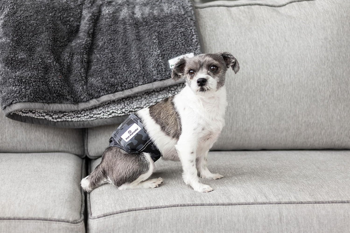 Pet Parents Bandas para el vientre lavables de alta calidad camuflaje