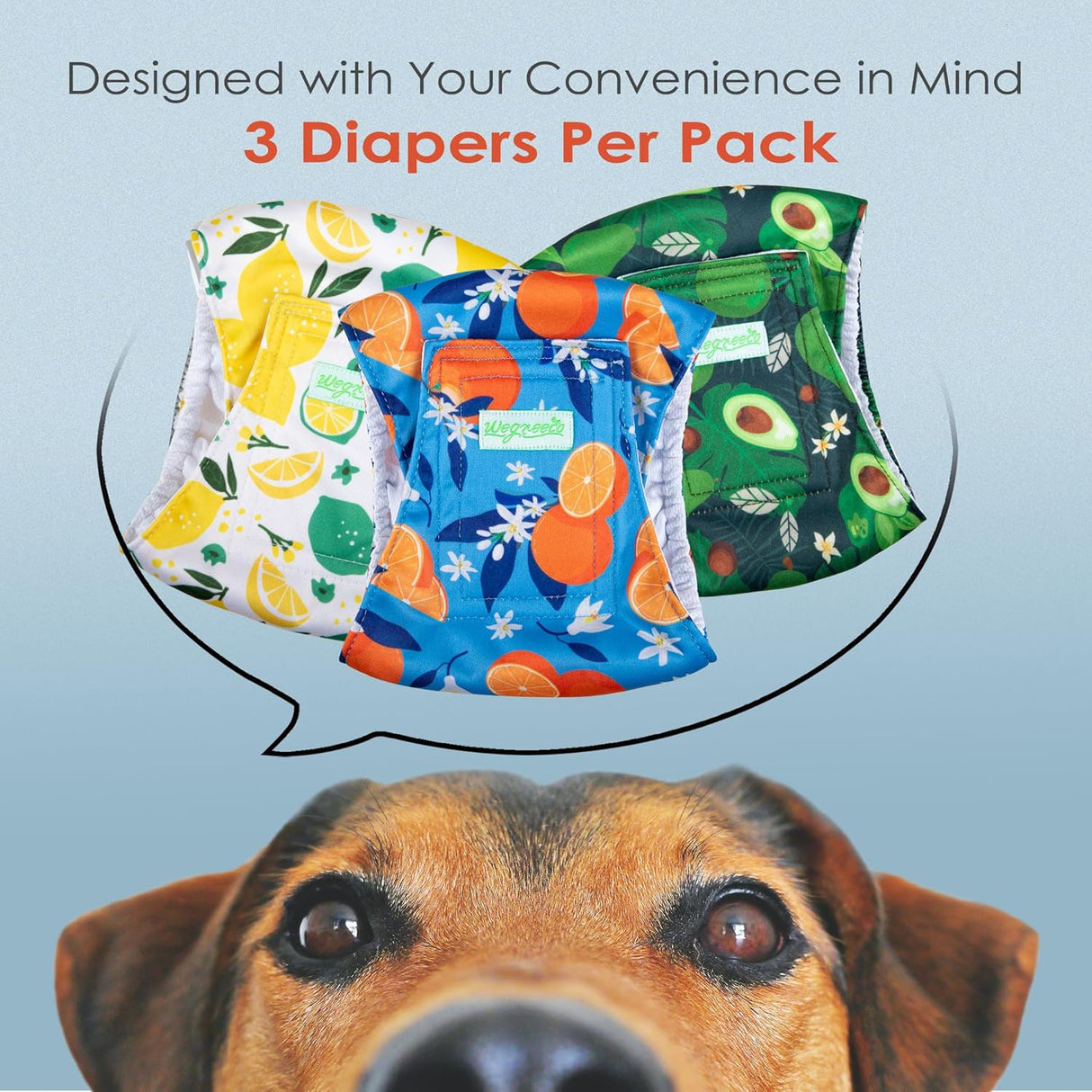 wegreeco Pañales lavables para el vientre lavables pañales