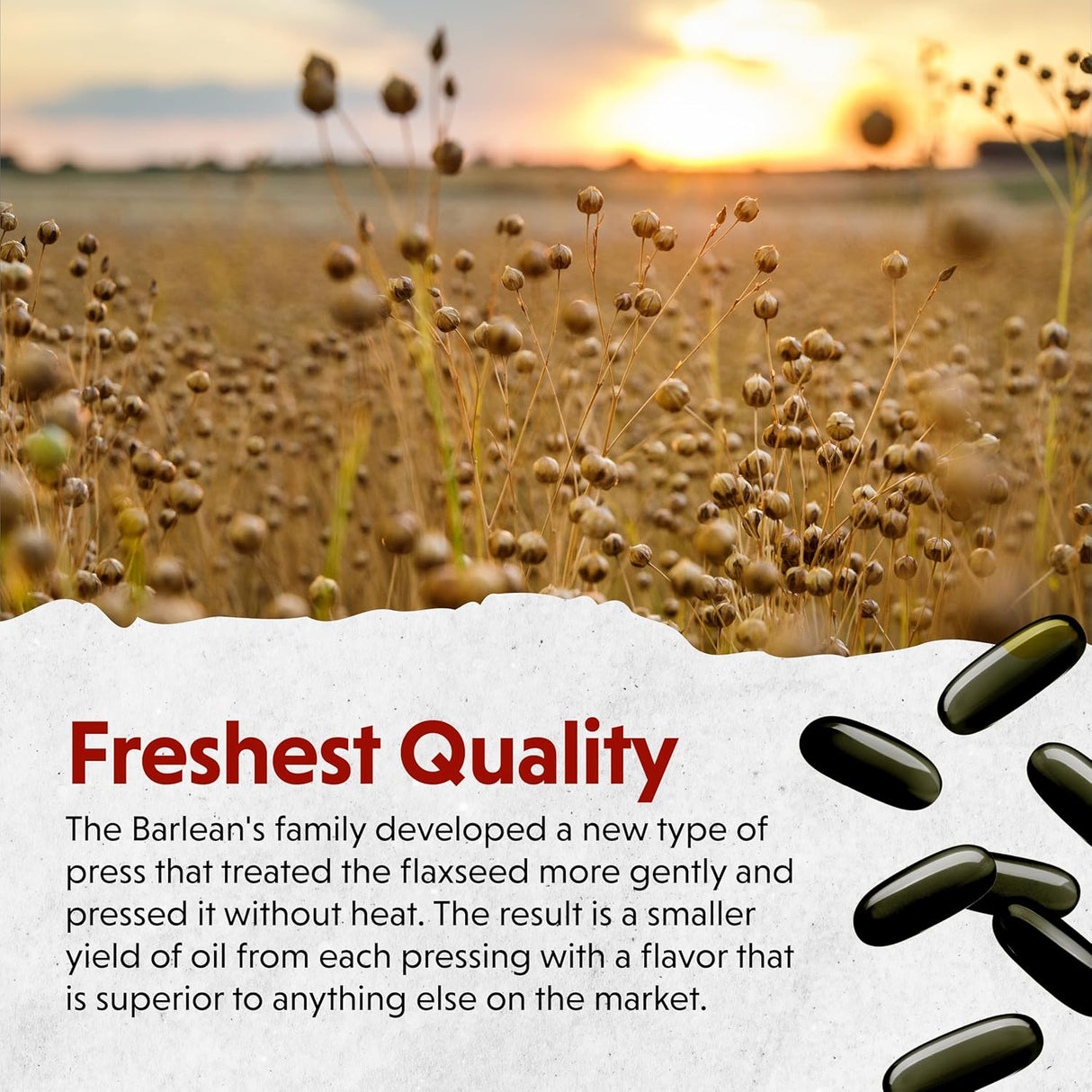 Suplemento de Aceite de Linaza Barlean's, 1550 mg ALA, 250 ct