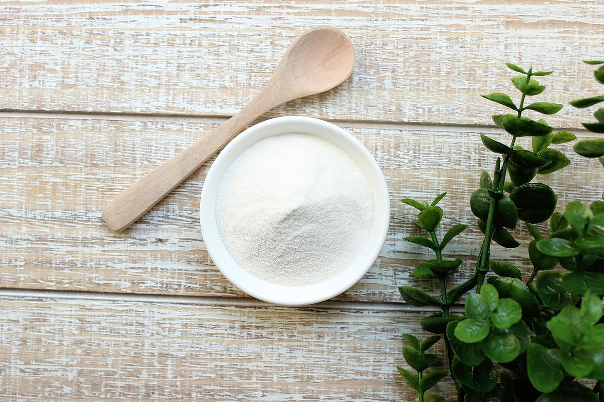 Polvo orgánico de acacia Senegalsin gluten sin OMG Anthony's