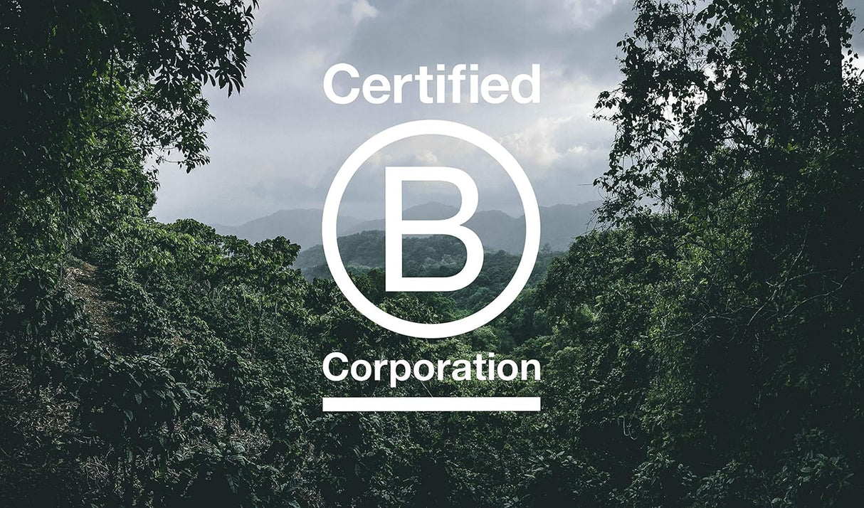 Café Orgánico Descafeinado Brasil, Tostado Medio-Alto, 5lb