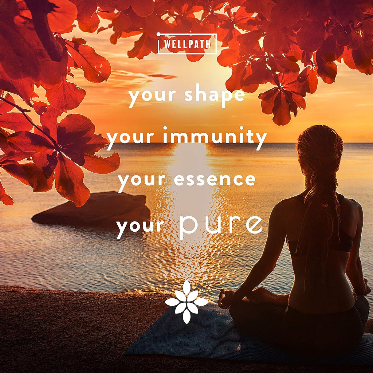 Gomitas de vinagre de sidra de manzana Veganas 60 unidades