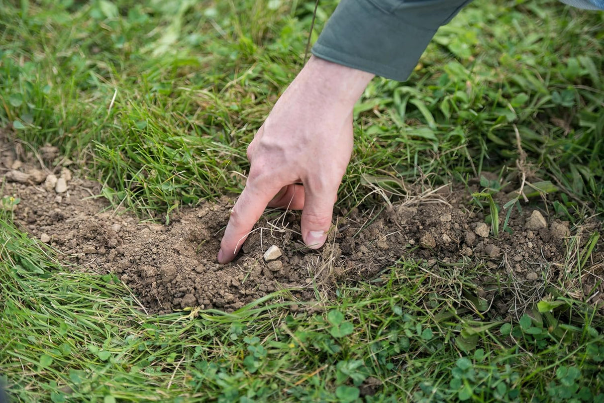 Tomcat Asesino de Topos, Imita Comida Natural, 10 Gusanos
