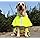 KOOGAL Pet Large Dog Raincoat Apparel Poncho Waterproof for Medium Large Sized Dog Raincoat Clothes (2XL Fluorescent Yellow)