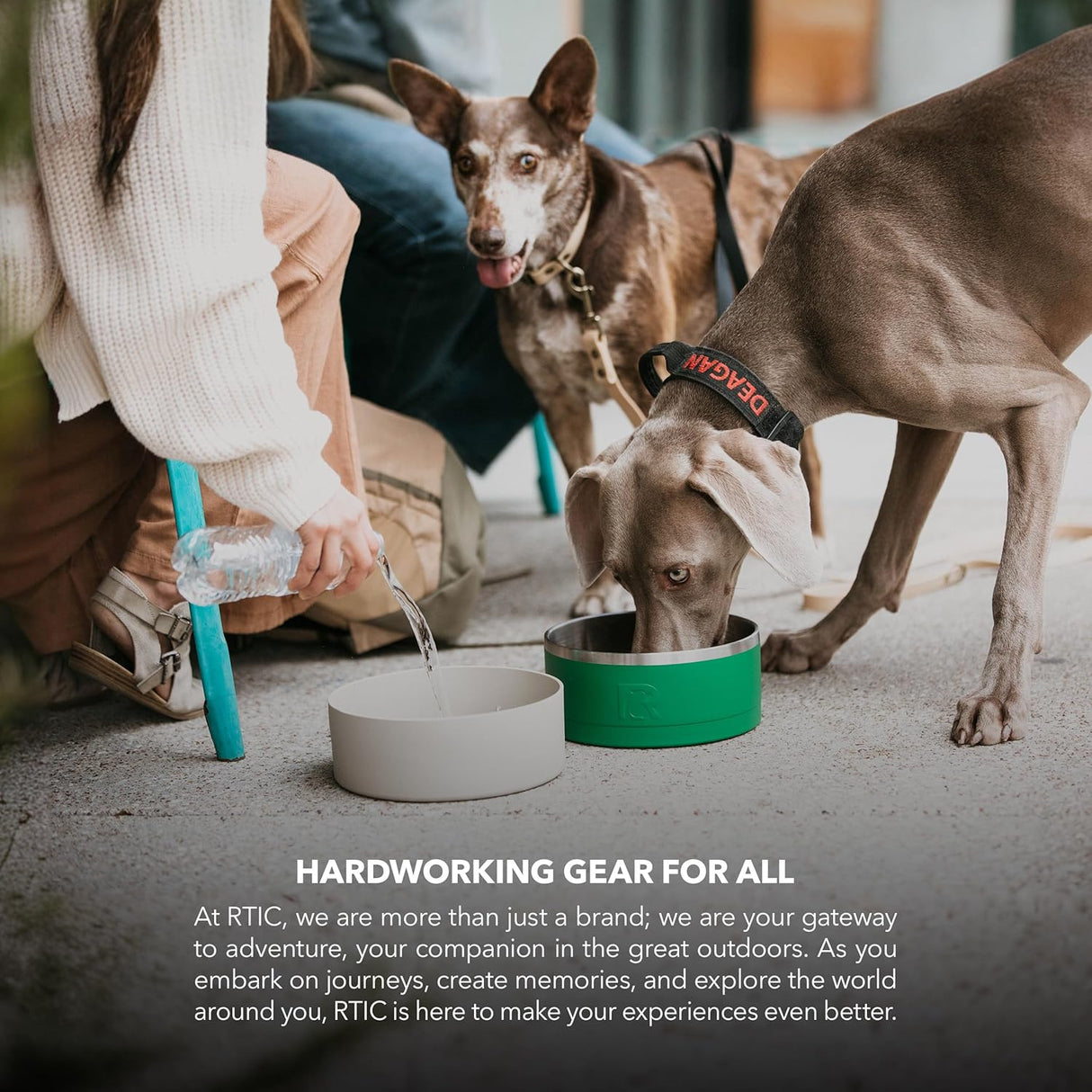 Cuenco 3-en-1 para Perros RTIC, Acero Inoxidable, Grande