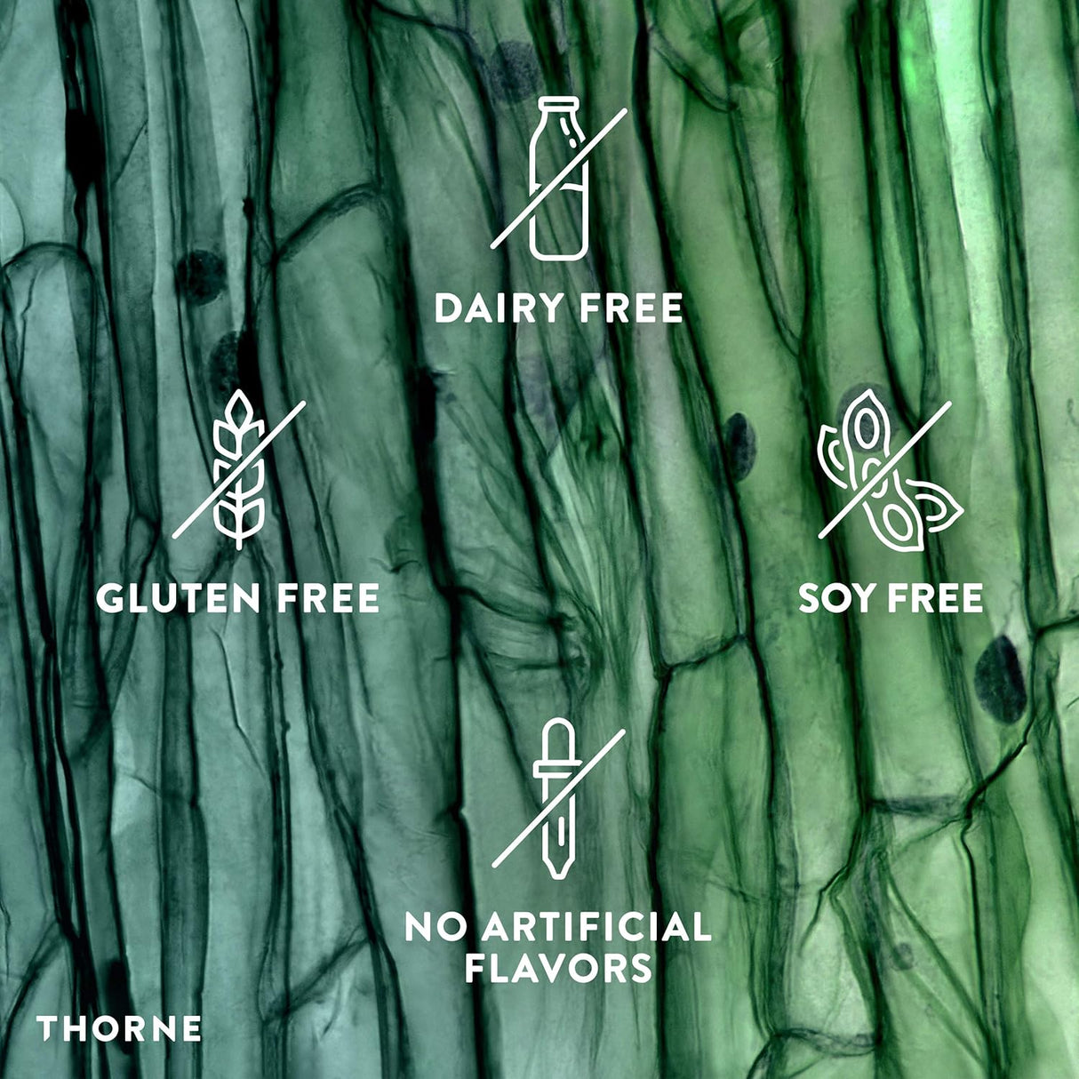 Suplementos Alimenticios de aminoácidos para la salud