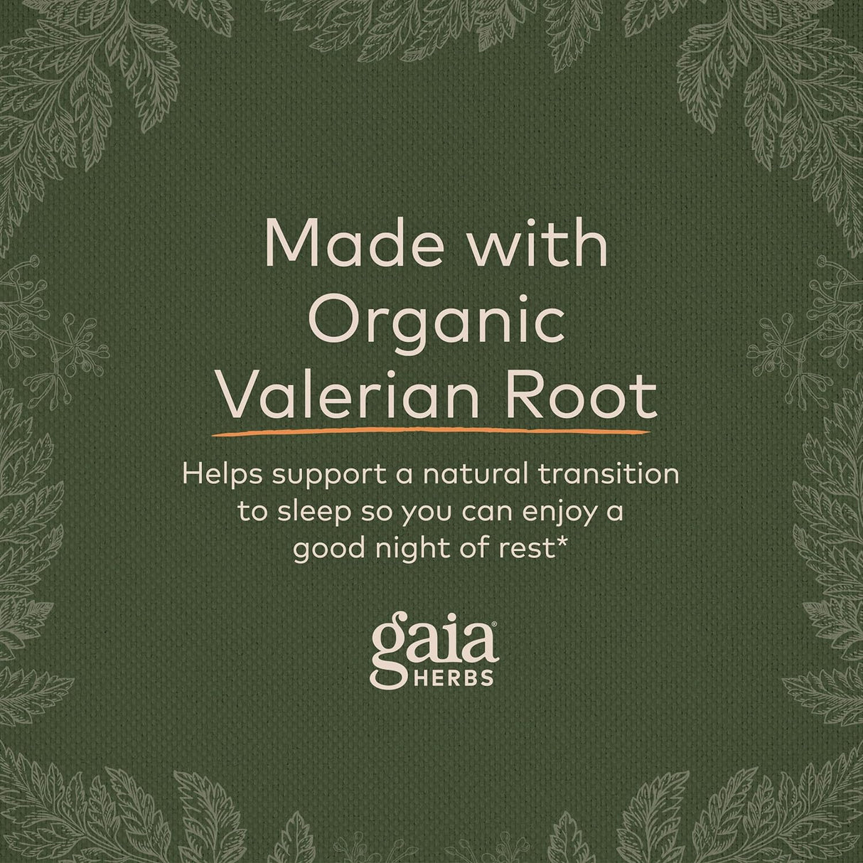 Suplemento Raíz de valeriana apoyo natural para el sueño