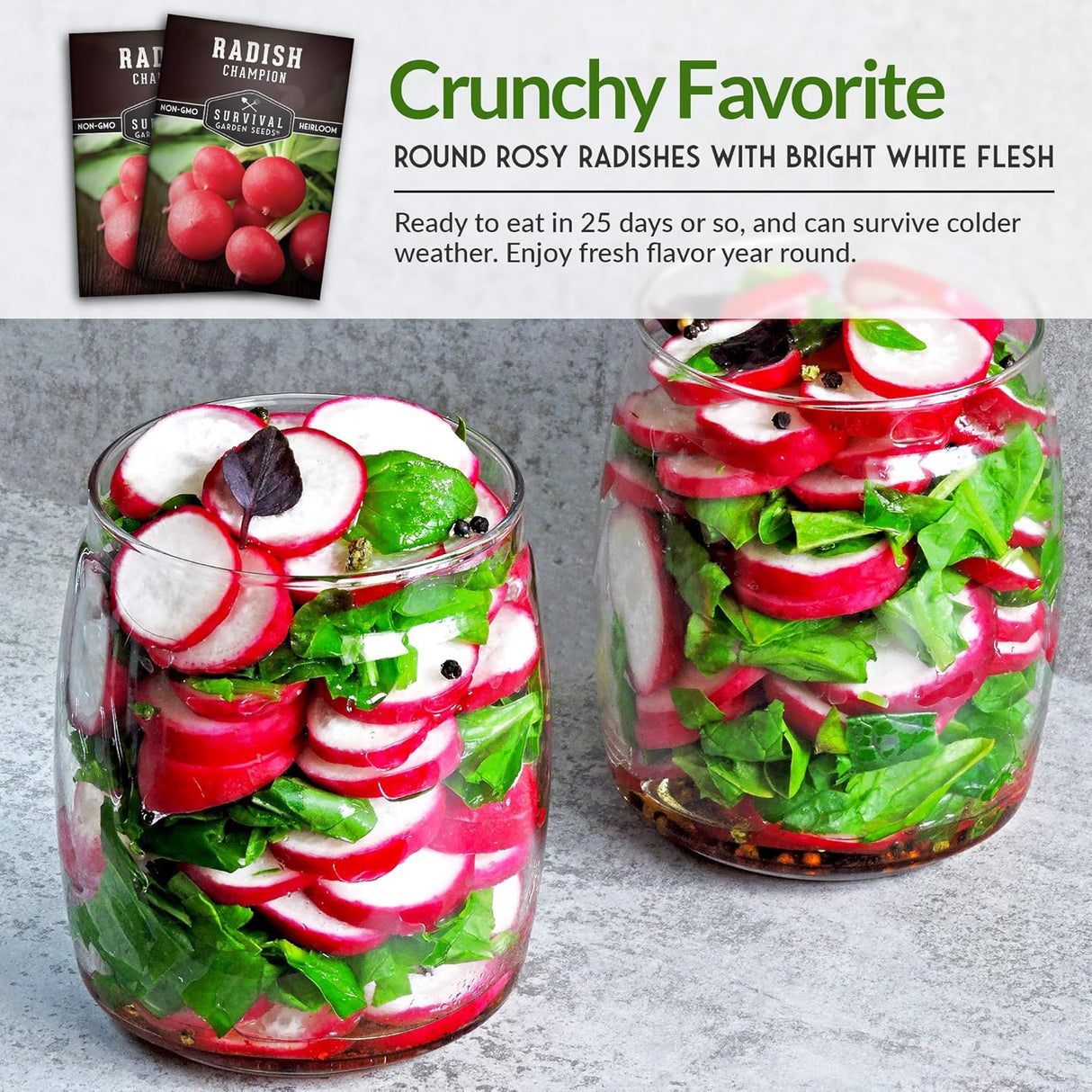 Semillas de Rábano Champion - Survival Garden Seeds - No-GMO