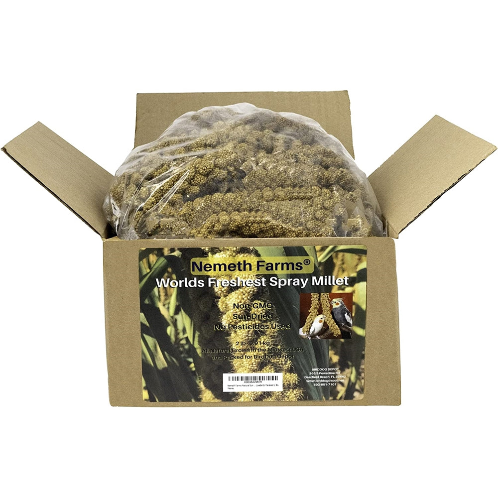 Mijo de golosinas secado al sol para pájaros mascotas