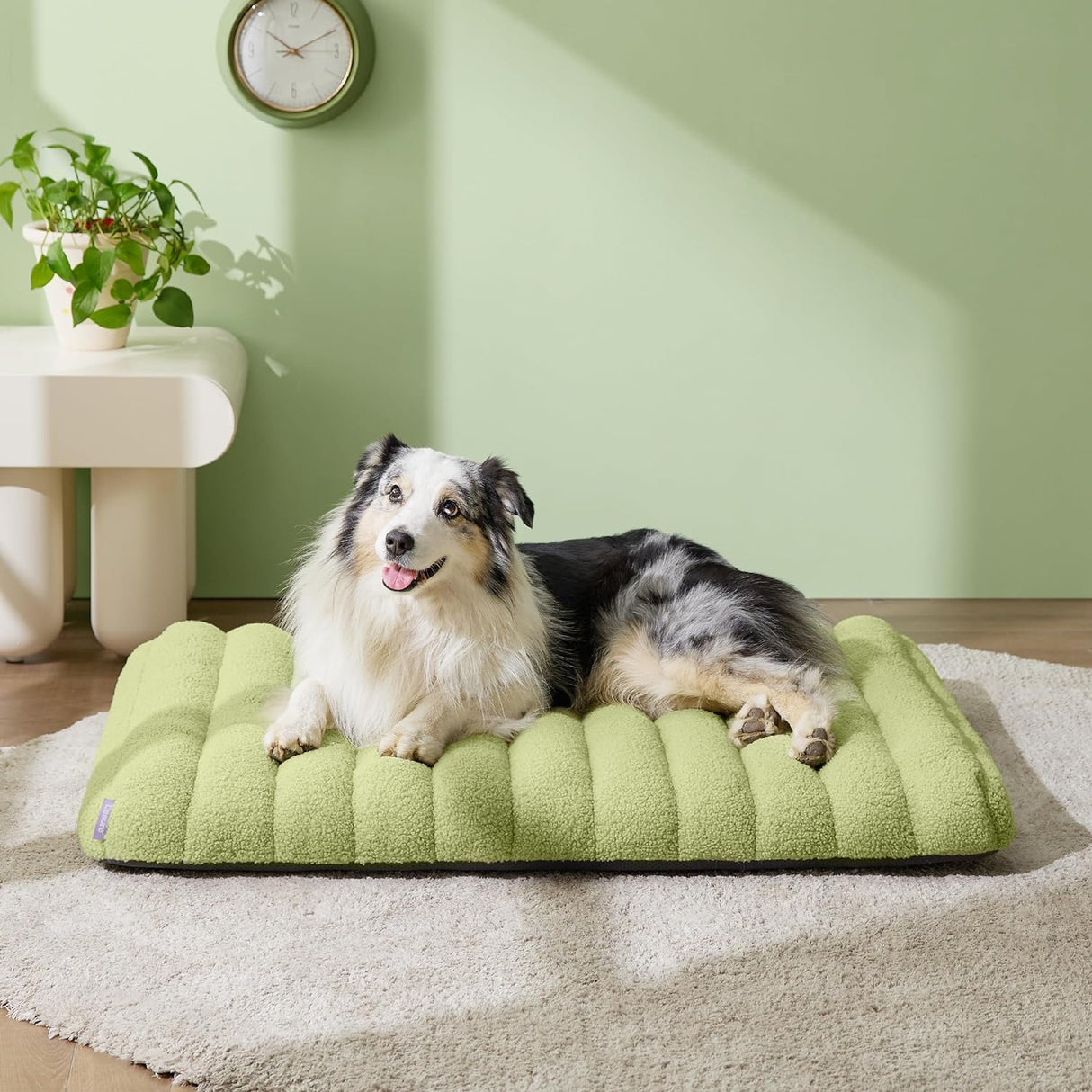Cama de espuma para perros grandes plana impermeable verde