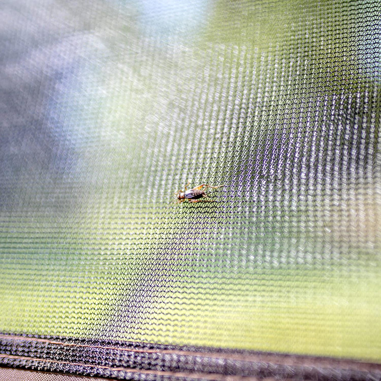 CLAM Cobertizo con toldo, bolsa de transporte estacas