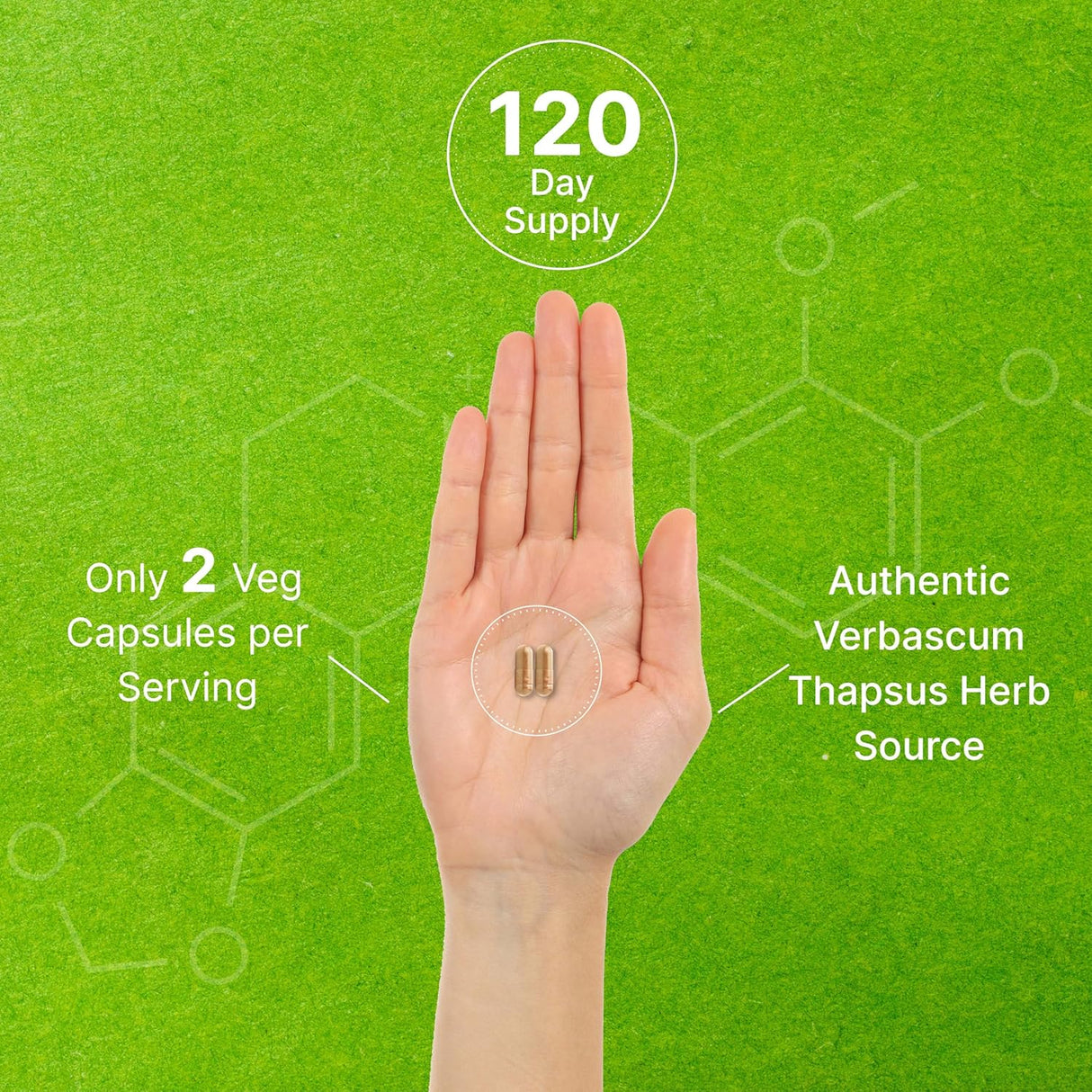 Suplemento Hoja de gordolobo 20,000 mg, 240 cápsulas