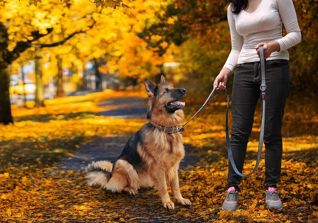 Correa para perro resistente correa de doble asa