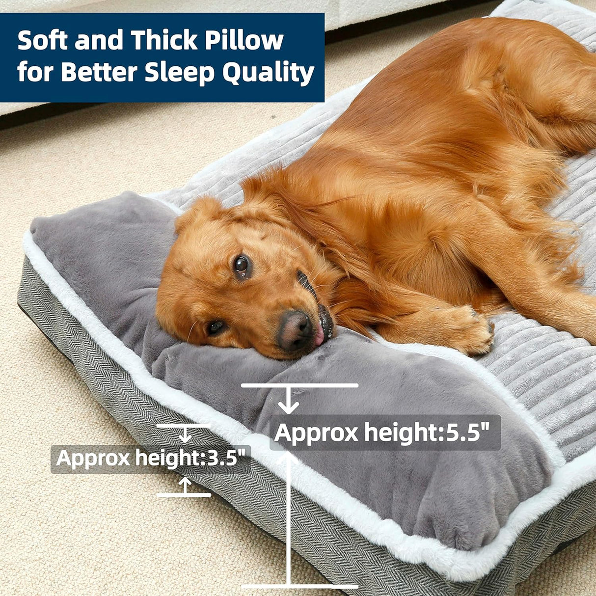 Cama Grande para Perro con Almohada, Suave, Modelo X123