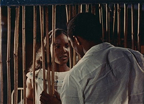 Orfeo Negro la Colección De Criterios