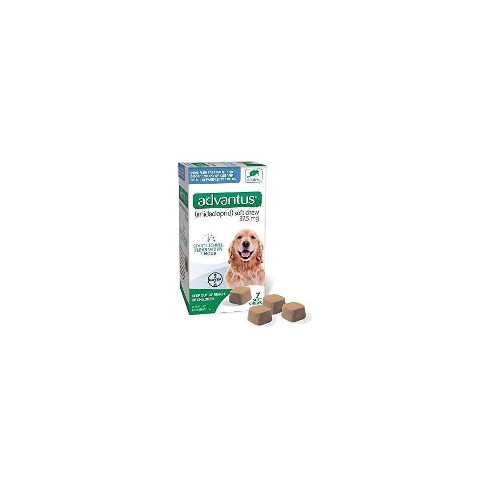 Antipulgas, Pulgas masticables para perros, Tratamiento