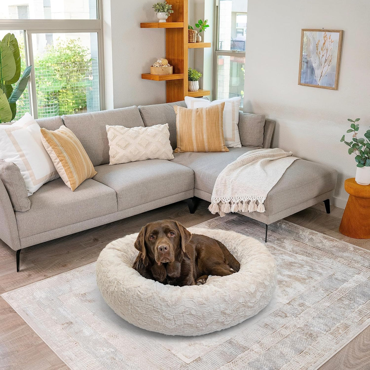 Cama Donut Calmante para Mascotas Best Friends, Grande 36