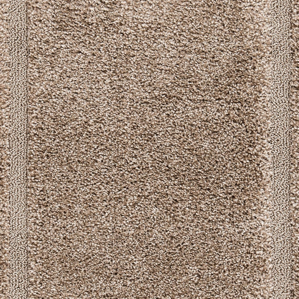 Alfombra de área SAFAVIEH Florida Shag 8'x10', fácil cuidado, SG454-1313