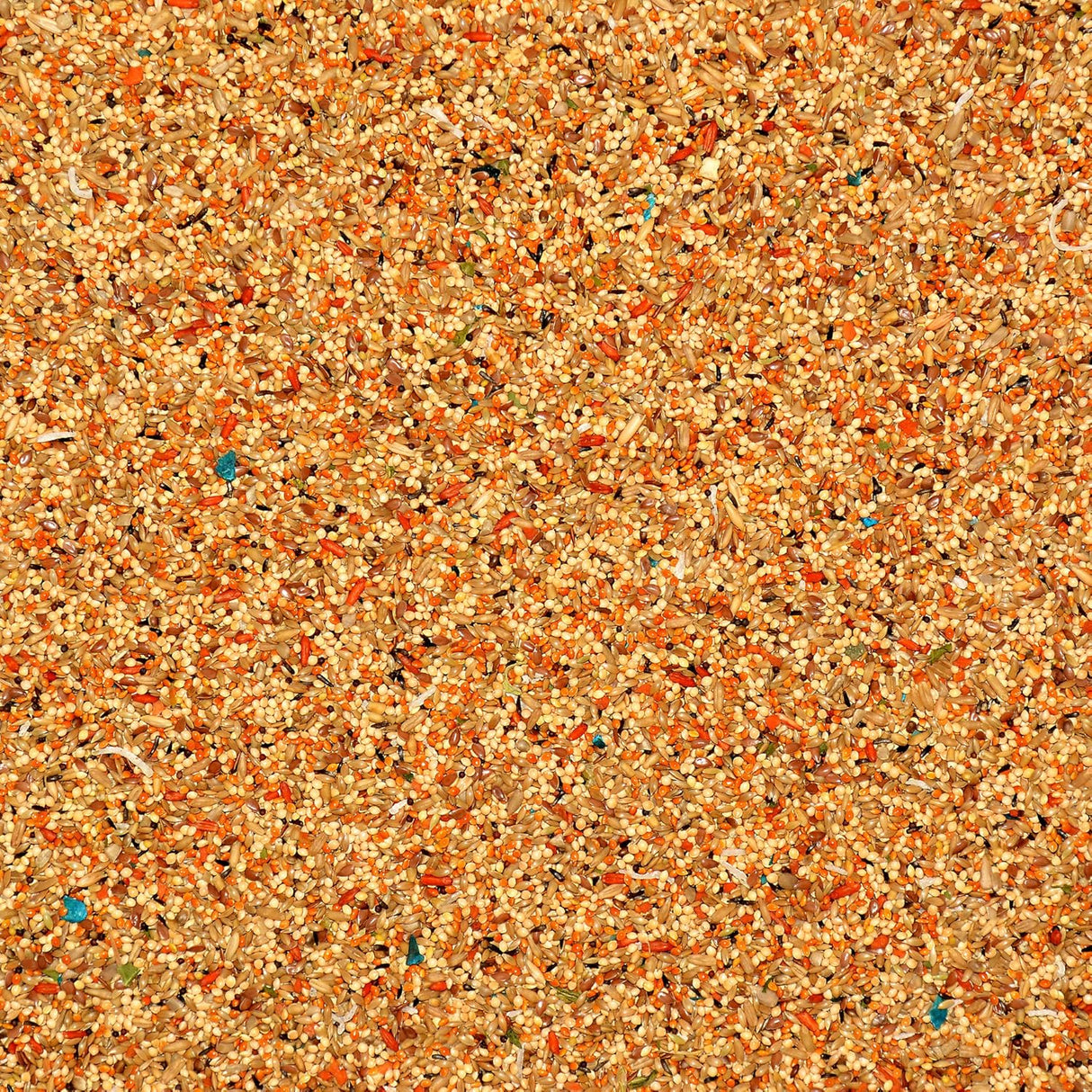 Comida para pájaros 4lb Volkman Avian Science Super Perico