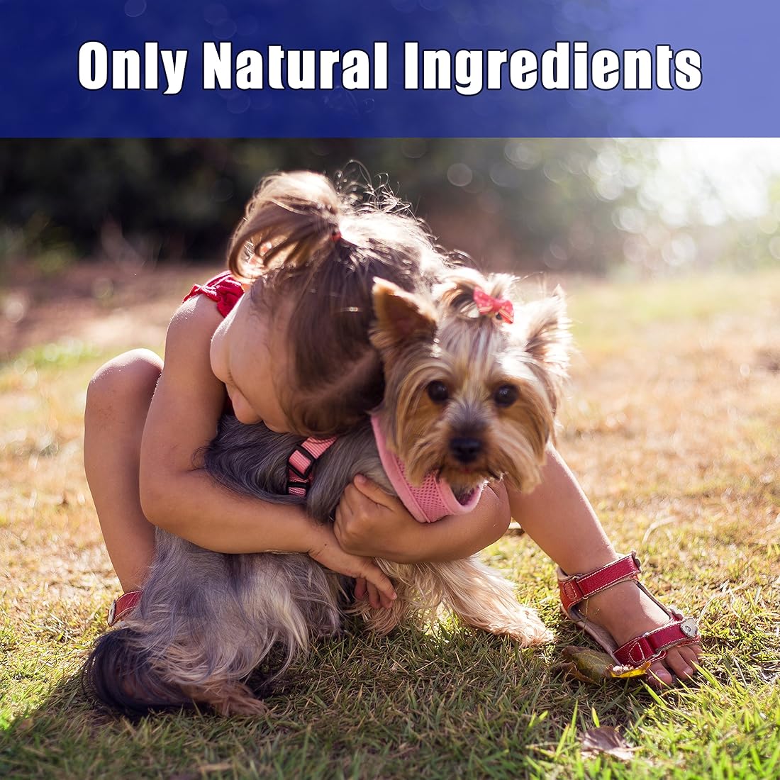 Toallitas para ojos para perros y gatos